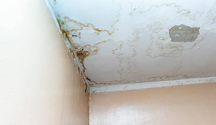 Water damaged ceiling with visible mold